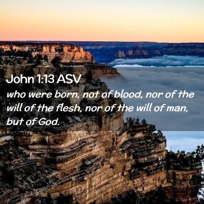 Picture 02 - John 1:13 ASV - who were born, not of blood, nor of the will of - Bible Verse Picture