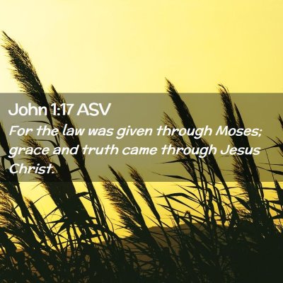Picture 02 - John 1:17 ASV - For the law was given through Moses; grace and - Bible Verse Picture