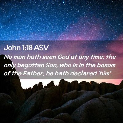 Picture 02 - John 1:18 ASV - No man hath seen God at any time; the only - Bible Verse Picture