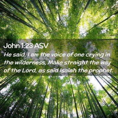 Picture 02 - John 1:23 ASV - He said, I am the voice of one crying in the - Bible Verse Picture