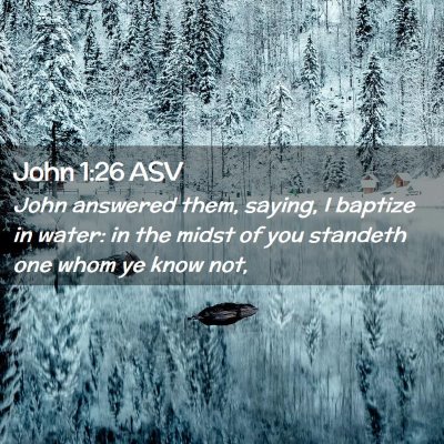 Picture 02 - John 1:26 ASV - John answered them, saying, I baptize in water: - Bible Verse Picture