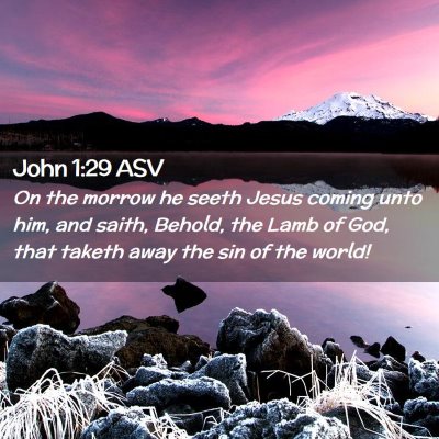 Picture 02 - John 1:29 ASV - On the morrow he seeth Jesus coming unto him, and - Bible Verse Picture