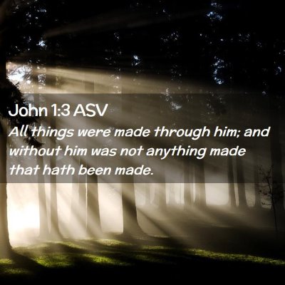 Picture 02 - John 1:3 ASV - All things were made through him; and without him - Bible Verse Picture