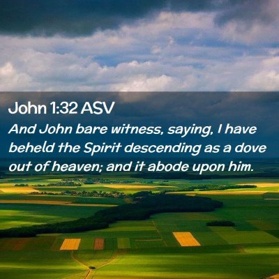 Picture 02 - John 1:32 ASV - And John bare witness, saying, I have beheld the - Bible Verse Picture