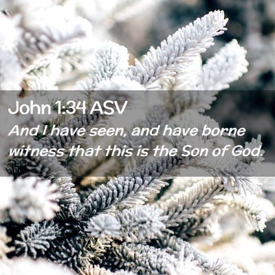 Picture 02 - John 1:34 ASV - And I have seen, and have borne witness that this - Bible Verse Picture