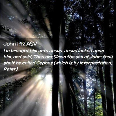 Picture 02 - John 1:42 ASV - He brought him unto Jesus. Jesus looked upon him, - Bible Verse Picture