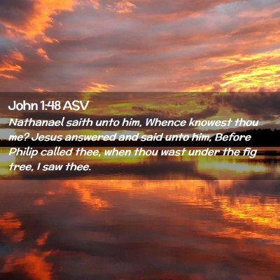 Picture 02 - John 1:48 ASV - Nathanael saith unto him, Whence knowest thou me? - Bible Verse Picture