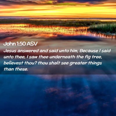 Picture 02 - John 1:50 ASV - Jesus answered and said unto him, Because I said - Bible Verse Picture