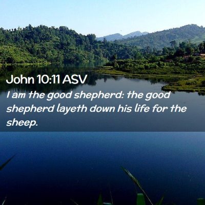 Picture 02 - John 10:11 ASV - I am the good shepherd: the good shepherd layeth - Bible Verse Picture