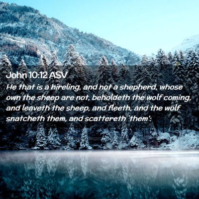 Picture 02 - John 10:12 ASV - He that is a hireling, and not a shepherd, whose - Bible Verse Picture