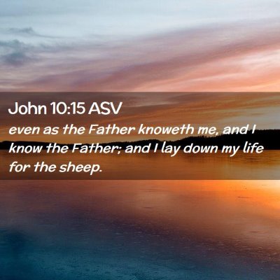 Picture 02 - John 10:15 ASV - even as the Father knoweth me, and I know the - Bible Verse Picture