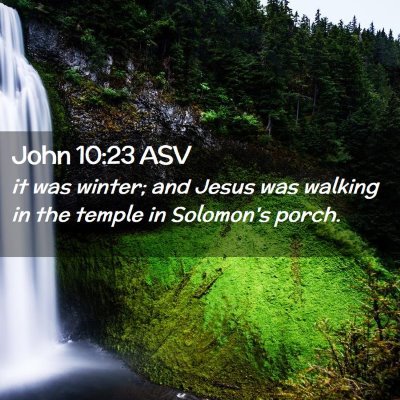 Picture 02 - John 10:23 ASV - it was winter; and Jesus was walking in the - Bible Verse Picture