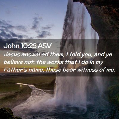 Picture 02 - John 10:25 ASV - Jesus answered them, I told you, and ye believe - Bible Verse Picture