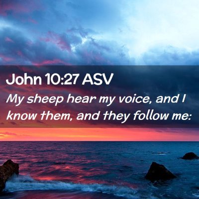 Picture 02 - John 10:27 ASV - My sheep hear my voice, and I know them, and they - Bible Verse Picture