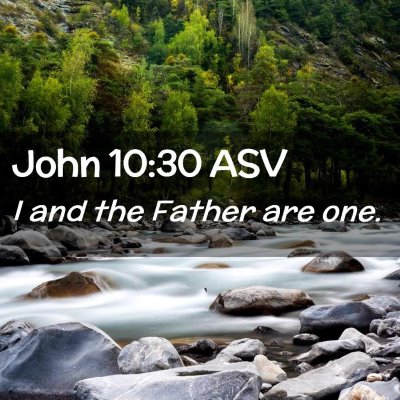 Picture 02 - John 10:30 ASV - I and the Father are - Bible Verse Picture