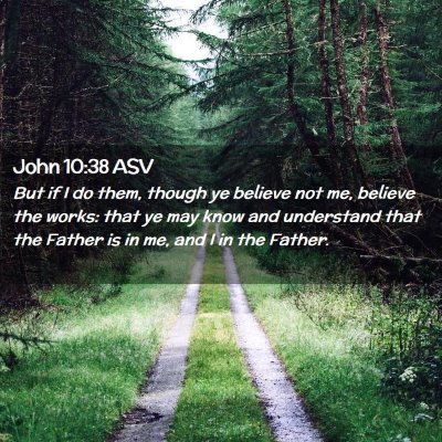 Picture 02 - John 10:38 ASV - But if I do them, though ye believe not me, - Bible Verse Picture