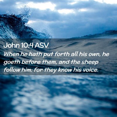 Picture 02 - John 10:4 ASV - When he hath put forth all his own, he goeth - Bible Verse Picture