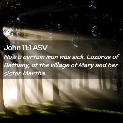 Picture 02 - John 11:1 ASV - Now a certain man was sick, Lazarus of Bethany, - Bible Verse Picture