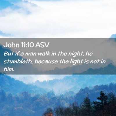 Picture 02 - John 11:10 ASV - But if a man walk in the night, he stumbleth, - Bible Verse Picture