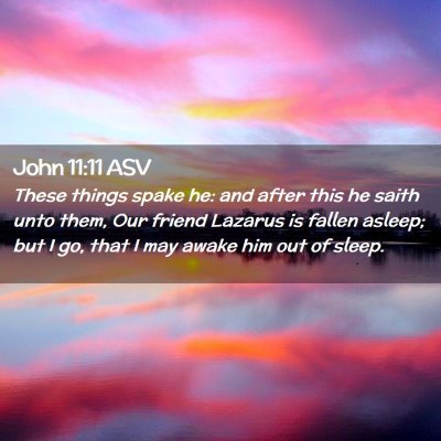Picture 02 - John 11:11 ASV - These things spake he: and after this he saith - Bible Verse Picture