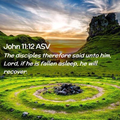 Picture 02 - John 11:12 ASV - The disciples therefore said unto him, Lord, if - Bible Verse Picture