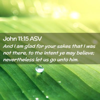 Picture 02 - John 11:15 ASV - And I am glad for your sakes that I was not - Bible Verse Picture