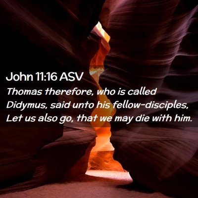 Picture 02 - John 11:16 ASV - Thomas therefore, who is called Didymus, said - Bible Verse Picture