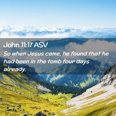 Picture 02 - John 11:17 ASV - So when Jesus came, he found that he had been in - Bible Verse Picture