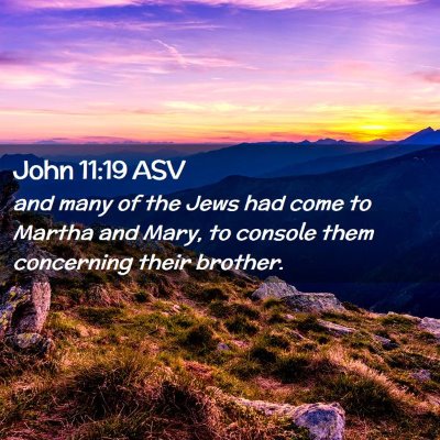 Picture 02 - John 11:19 ASV - and many of the Jews had come to Martha and Mary, - Bible Verse Picture