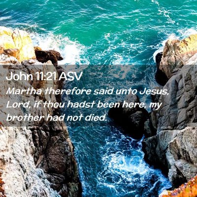 Picture 02 - John 11:21 ASV - Martha therefore said unto Jesus, Lord, if thou - Bible Verse Picture