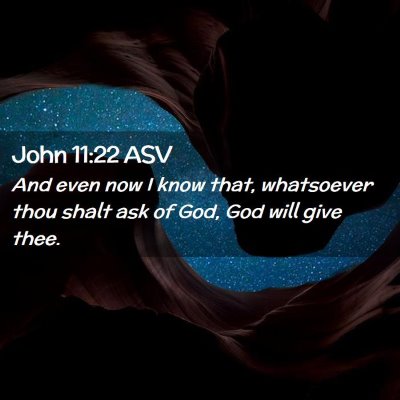 Picture 02 - John 11:22 ASV - And even now I know that, whatsoever thou shalt - Bible Verse Picture