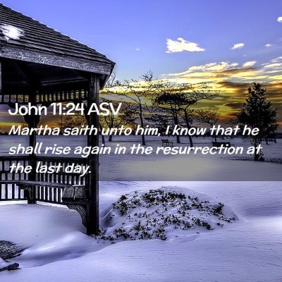 Picture 02 - John 11:24 ASV - Martha saith unto him, I know that he shall rise - Bible Verse Picture