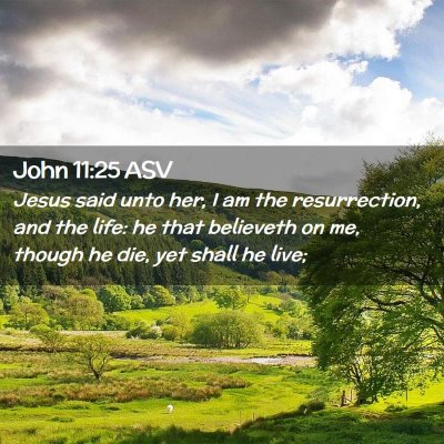 Picture 02 - John 11:25 ASV - Jesus said unto her, I am the resurrection, and - Bible Verse Picture