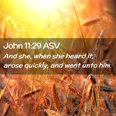 Picture 02 - John 11:29 ASV - And she, when she heard it, arose quickly, and - Bible Verse Picture