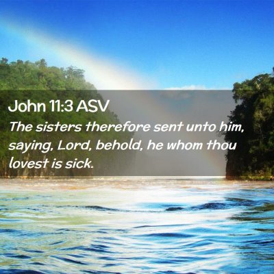 Picture 02 - John 11:3 ASV - The sisters therefore sent unto him, saying, - Bible Verse Picture