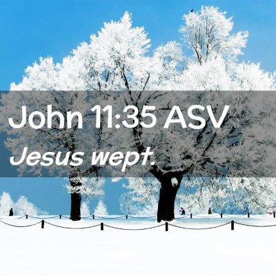Picture 02 - John 11:35 ASV - Jesus - Bible Verse Picture