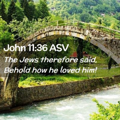 Picture 02 - John 11:36 ASV - The Jews therefore said, Behold how he loved - Bible Verse Picture