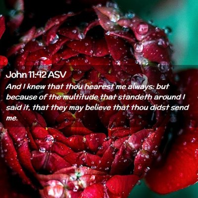 Picture 02 - John 11:42 ASV - And I knew that thou hearest me always: but - Bible Verse Picture