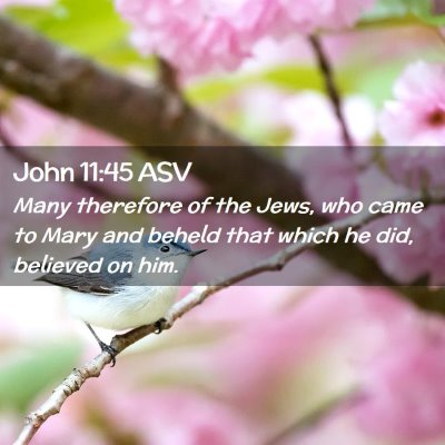 Picture 02 - John 11:45 ASV - Many therefore of the Jews, who came to Mary and - Bible Verse Picture