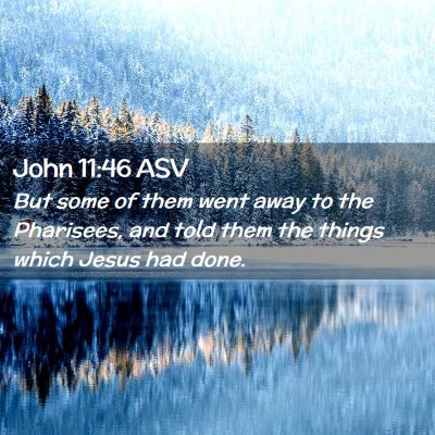 Picture 02 - John 11:46 ASV - But some of them went away to the Pharisees, and - Bible Verse Picture