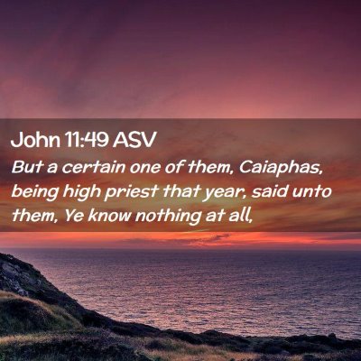 Picture 02 - John 11:49 ASV - But a certain one of them, Caiaphas, being high - Bible Verse Picture