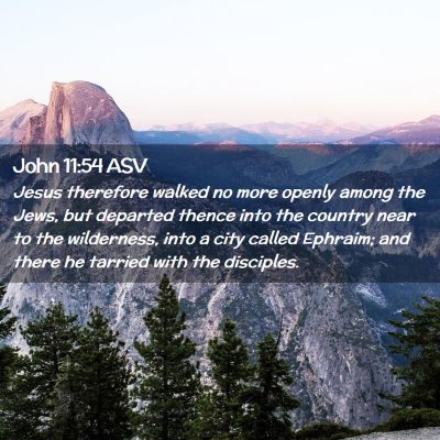 Picture 02 - John 11:54 ASV - Jesus therefore walked no more openly among the - Bible Verse Picture