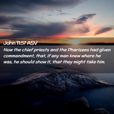 Picture 02 - John 11:57 ASV - Now the chief priests and the Pharisees had given - Bible Verse Picture