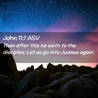 Picture 02 - John 11:7 ASV - Then after this he saith to the disciples, Let us - Bible Verse Picture