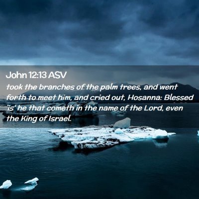 Picture 02 - John 12:13 ASV - took the branches of the palm trees, and went - Bible Verse Picture