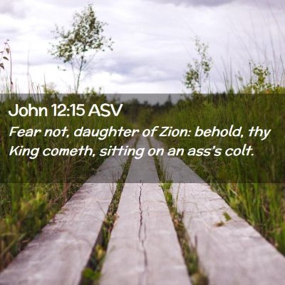 Picture 02 - John 12:15 ASV - Fear not, daughter of Zion: behold, thy King - Bible Verse Picture