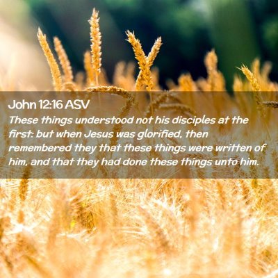 Picture 02 - John 12:16 ASV - These things understood not his disciples at the - Bible Verse Picture