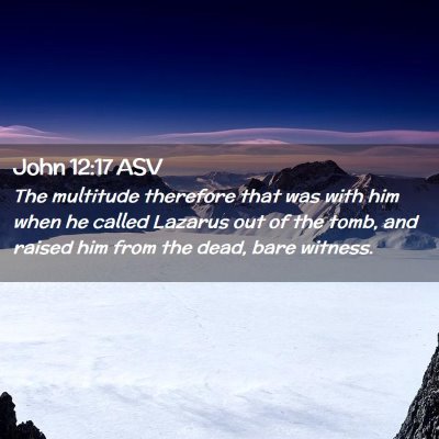 Picture 02 - John 12:17 ASV - The multitude therefore that was with him when he - Bible Verse Picture