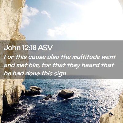 Picture 02 - John 12:18 ASV - For this cause also the multitude went and met - Bible Verse Picture