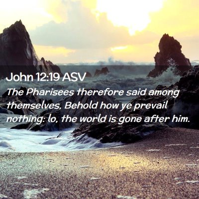 Picture 02 - John 12:19 ASV - The Pharisees therefore said among themselves, - Bible Verse Picture